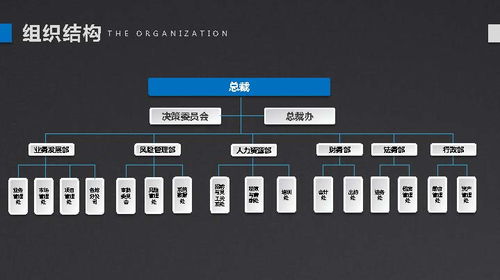 引行金融 小微企業有尊嚴的金融服務——數字內容制作服務品牌宣傳冊策劃與設計